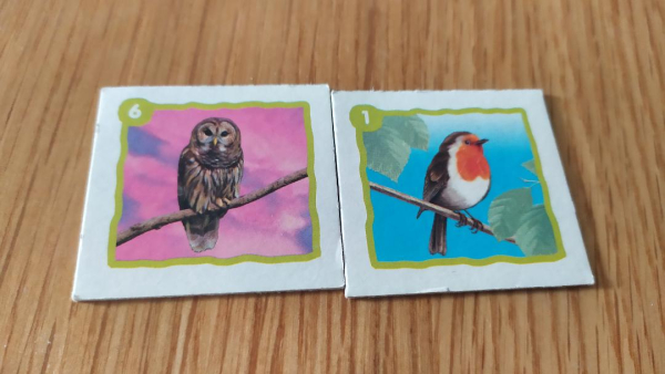 Loto oiseaux
