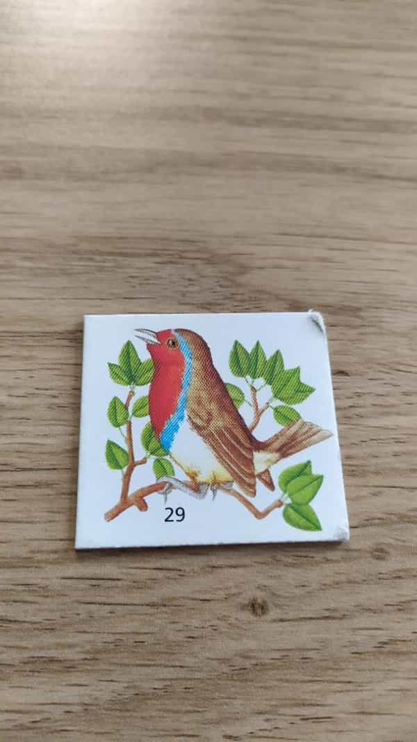 Loto des bois et des champs