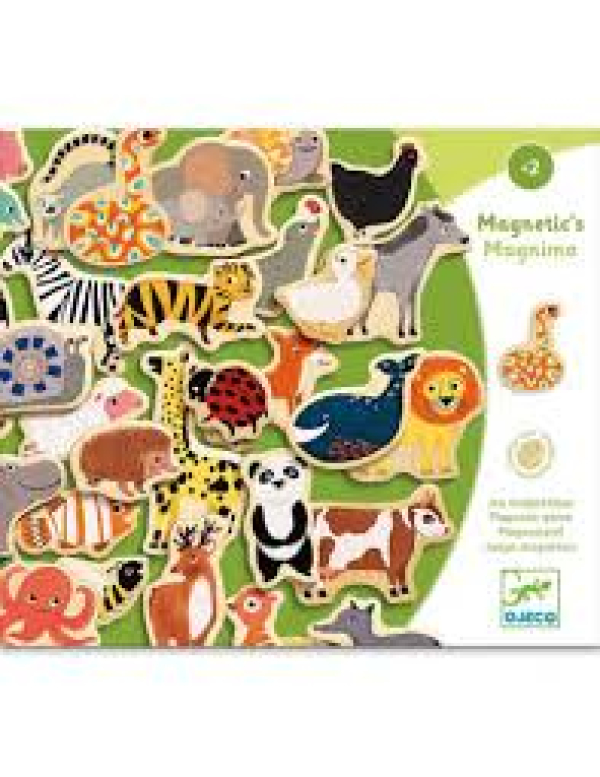Magnetic's magnimo