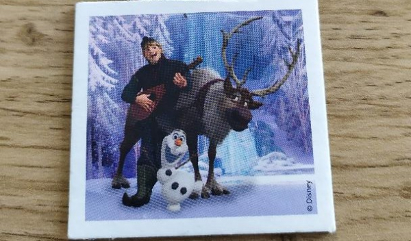 Memo/Loto Reine des neiges