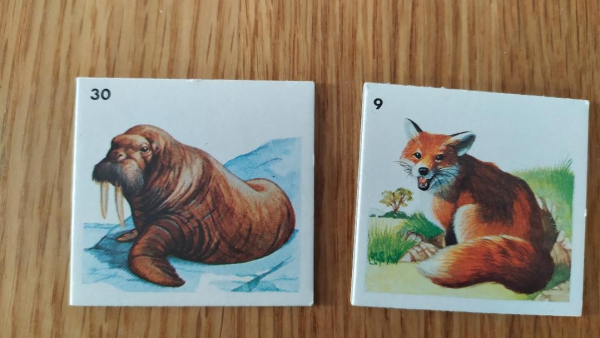 Loto animaux sauvages