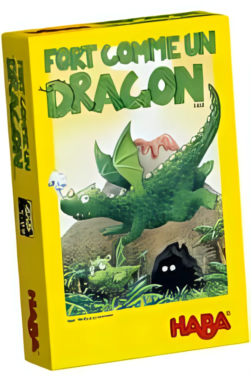Boîte du jeu Fort comme un dragon