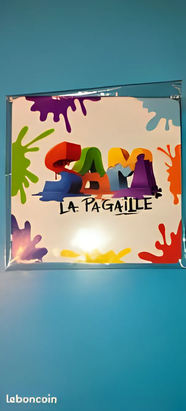 Boîte du jeu Sam la Pagaille