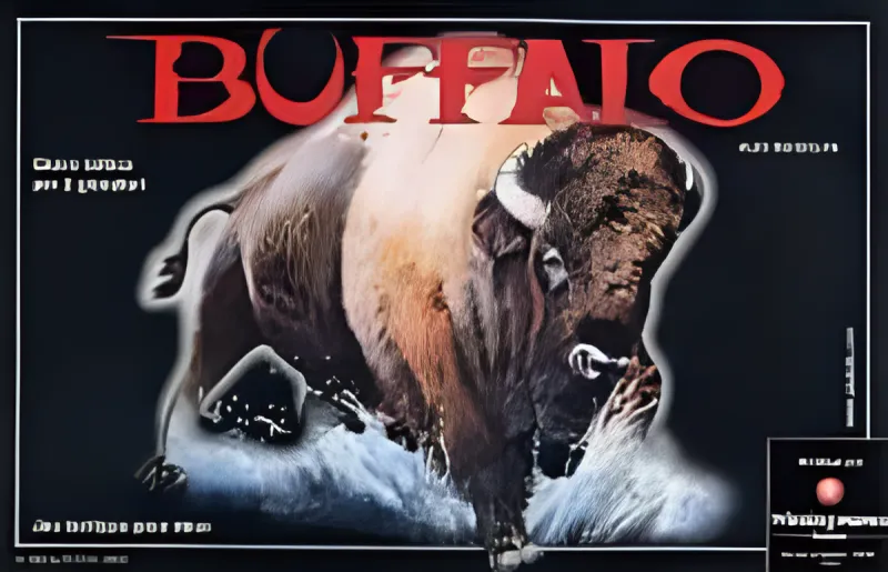 Boîte du jeu Buffalo