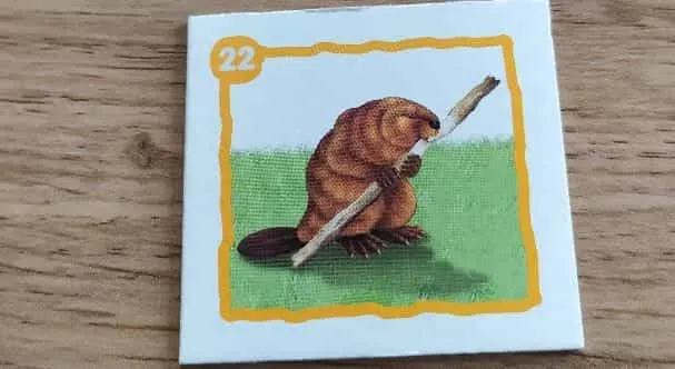 Loto-Animaux sauvages