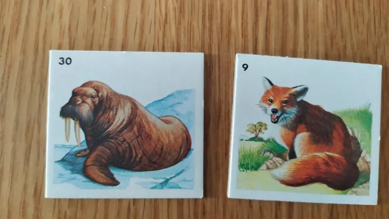 Loto animaux sauvages