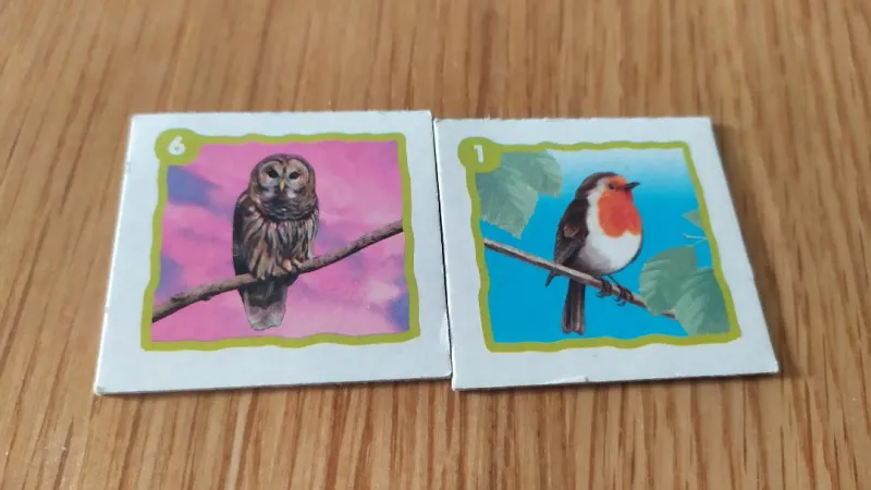 Loto oiseaux